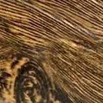 Abgehängte Decke Farbe